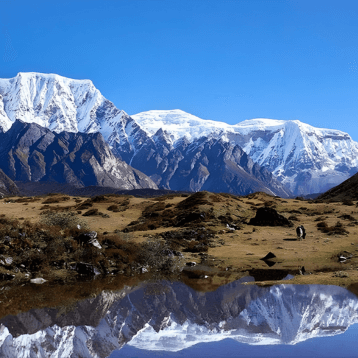 Soi Yaksa (Jhomolhari Loop) Trek